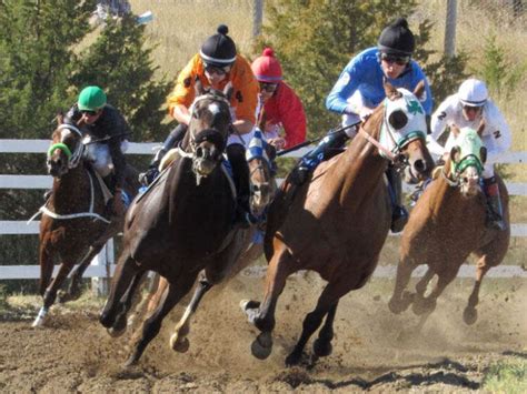 SD Horse racing in SD back on track, for now .